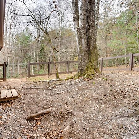 Peaceful Warne Cabin Fenced Yard And Screened Porch Brasstown المظهر الخارجي الصورة