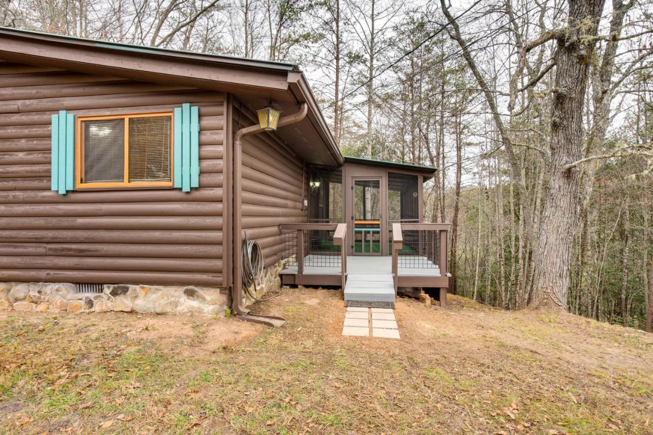 Peaceful Warne Cabin Fenced Yard And Screened Porch Brasstown المظهر الخارجي الصورة