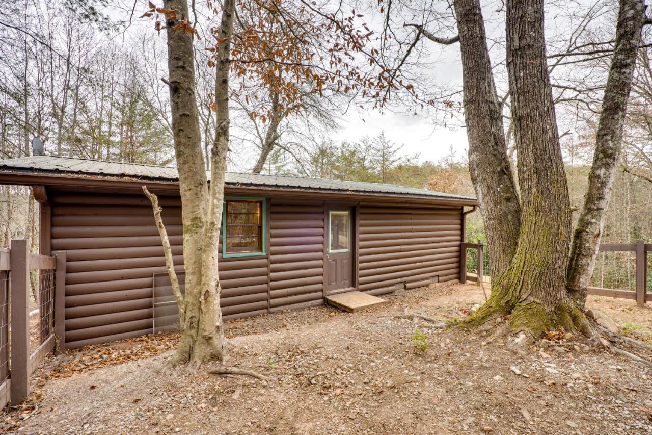 Peaceful Warne Cabin Fenced Yard And Screened Porch Brasstown المظهر الخارجي الصورة