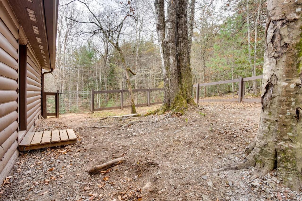 Peaceful Warne Cabin Fenced Yard And Screened Porch Brasstown المظهر الخارجي الصورة